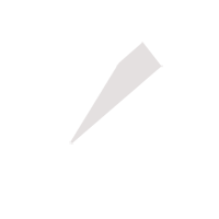 Chirurgie Gynécologique